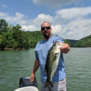 Meet your Posher, Todd